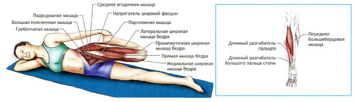 Болят Мышцы Ног После Секса