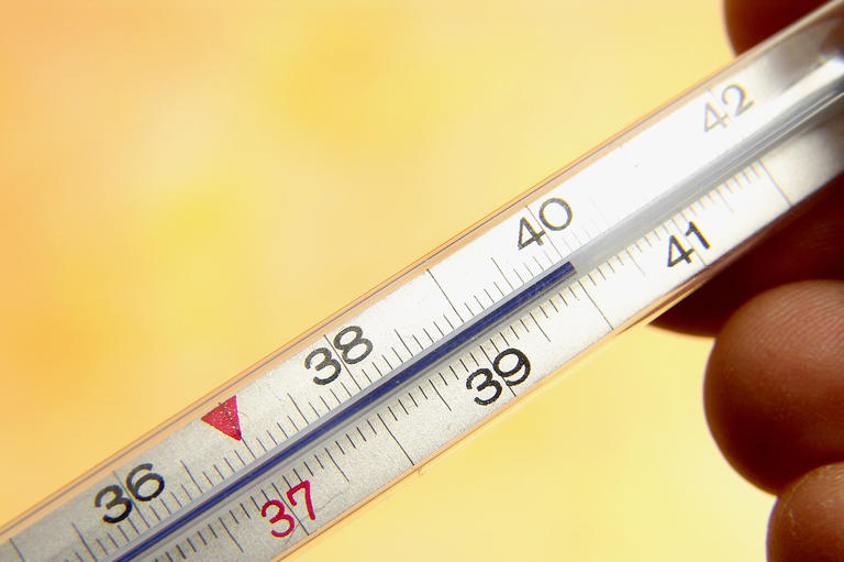 Fieberthermometer